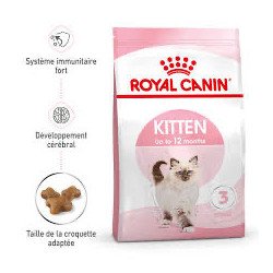 Croquettes Royal Canin Kitten
